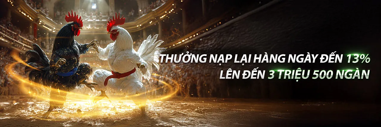 Hình ảnh đá gà trực tuyến kịch tính tại Sumclub App